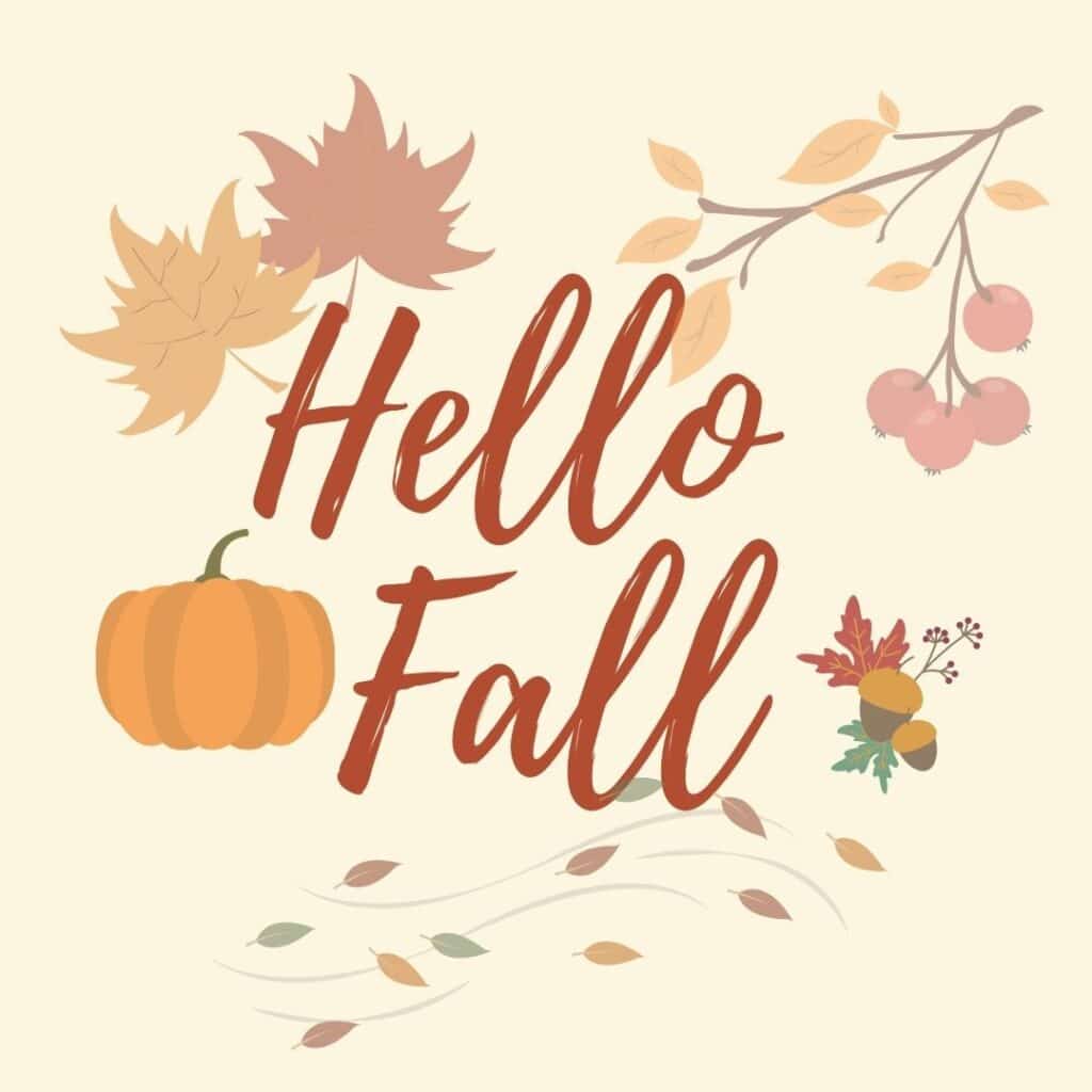 OnPoint - Hello Fall 