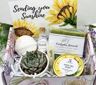 Summer Gift Idea for succulent lovers