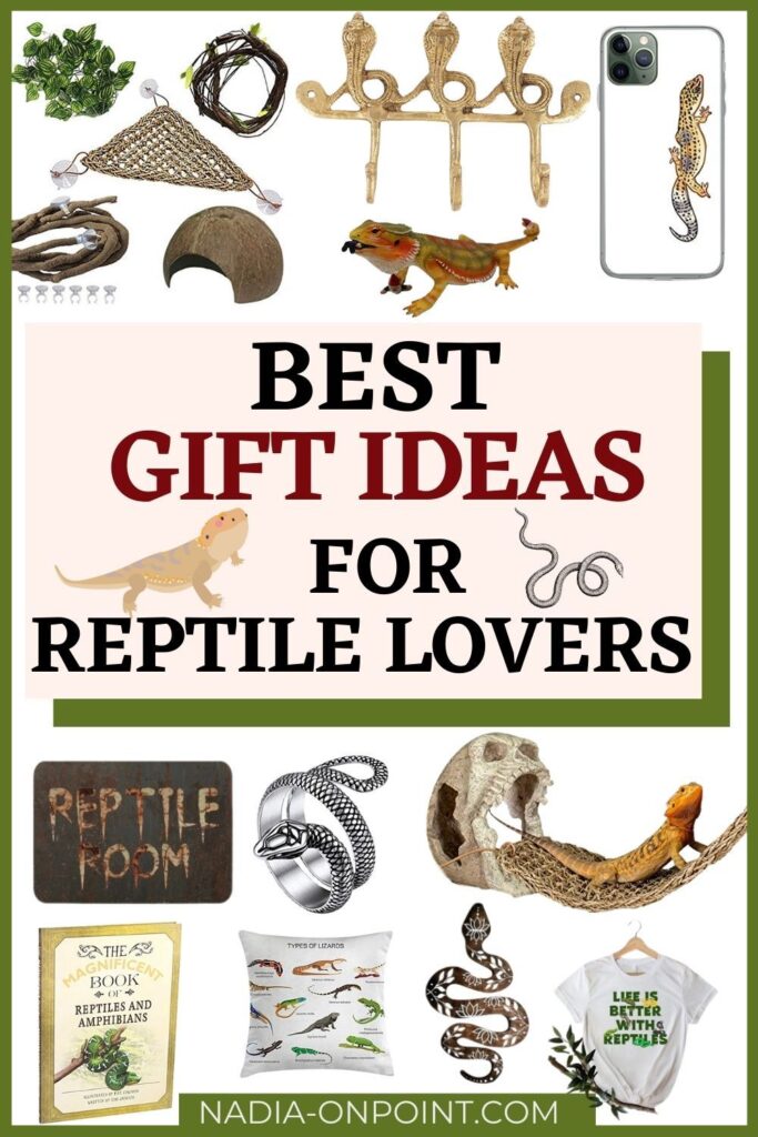 Best Gifts for Reptile Lovers