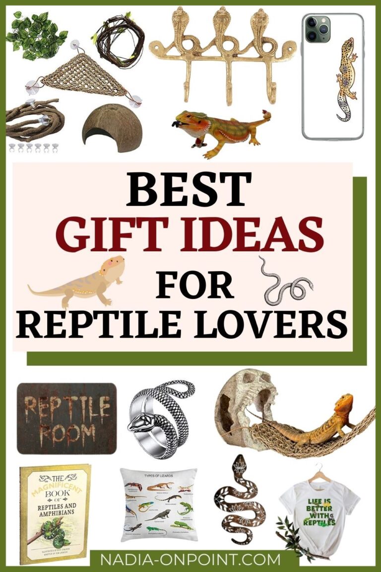 18 Gifts for Reptile Lovers They're Goanna Adore