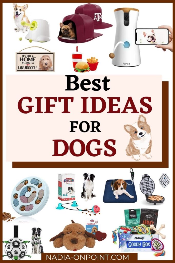 Trendy Gifts for Dogs