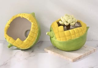 unique corn planter gift for corn lovers