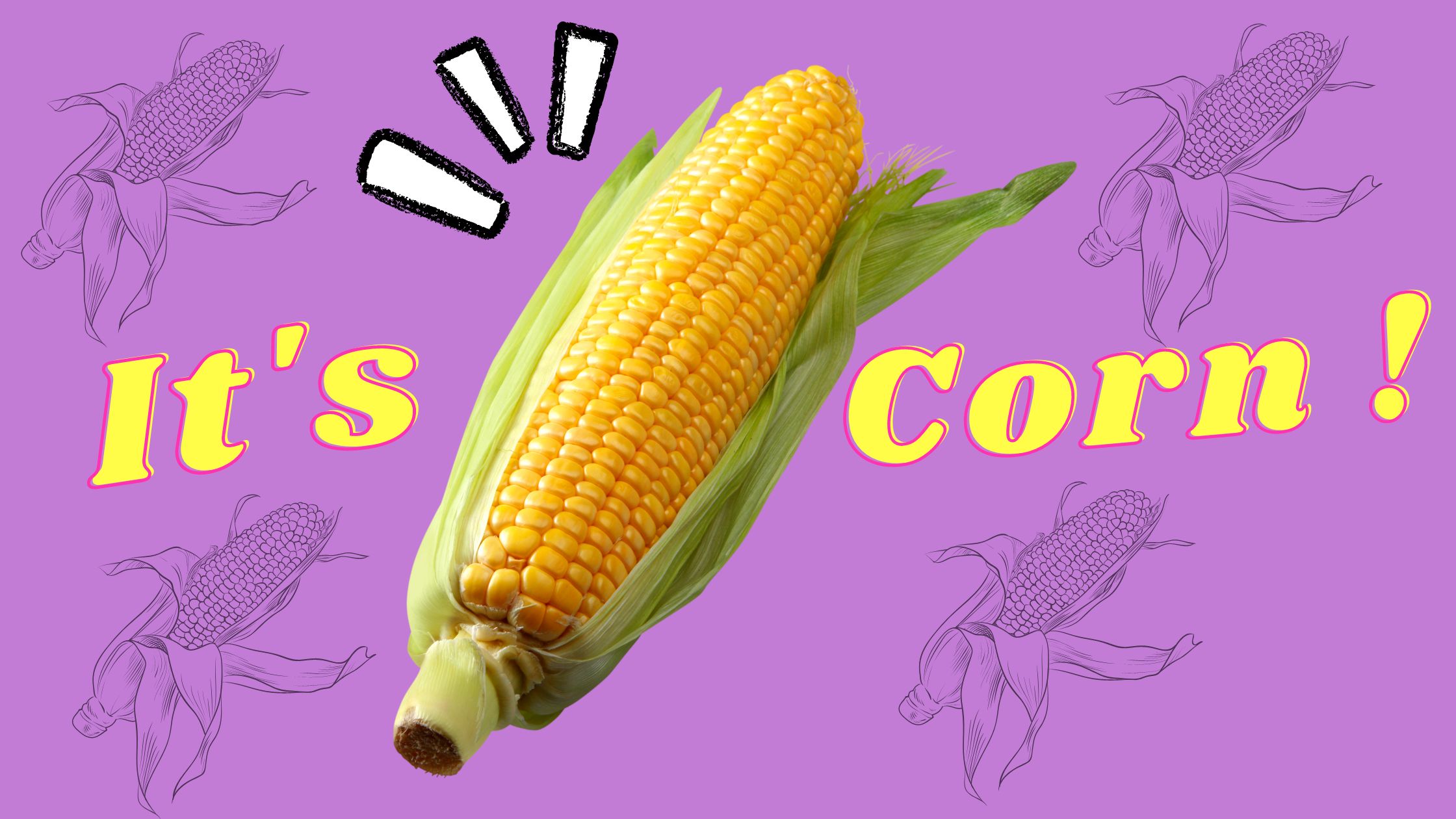 Corntastic Gifts for Corn Lovers It's Corn!