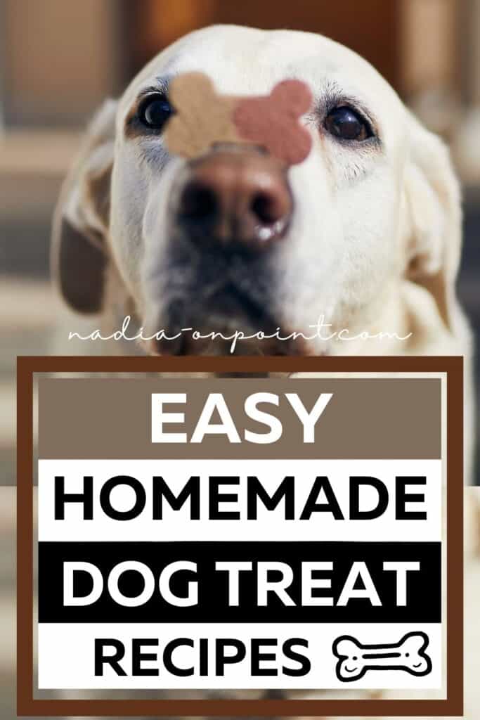 Easy Homemade Treats for Dogs