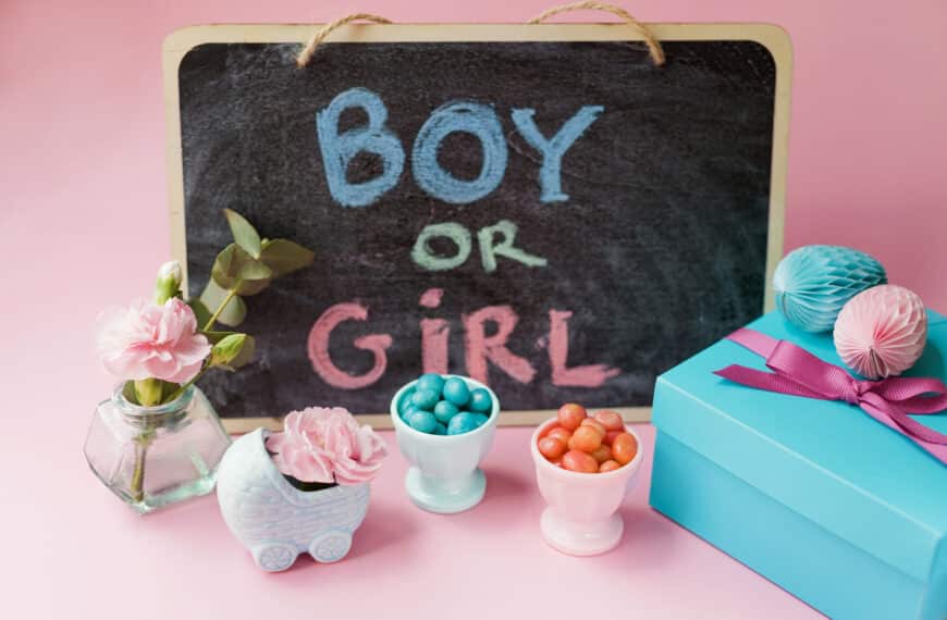 Gender Reveal Gift Ideas for Parents to be