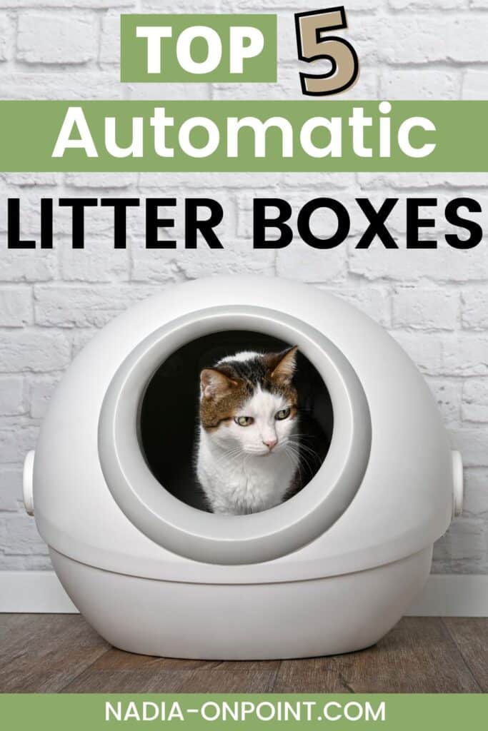 Automatic Litter Box Revolution