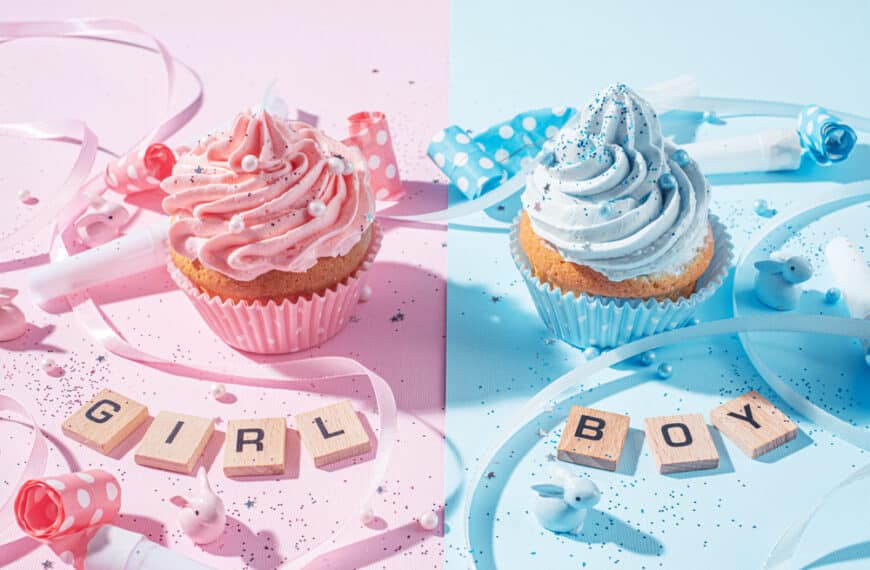 How To Plan a Gender Reveal Party Your Guests Will Enjoy